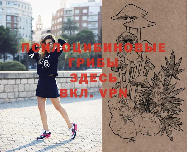 таблы Дмитровск