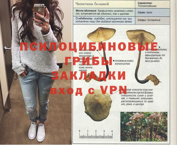 герыч Дмитров